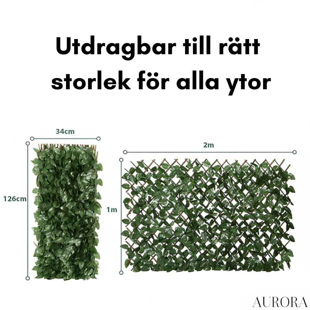 Gardenscape™ - Aurora Stockholm