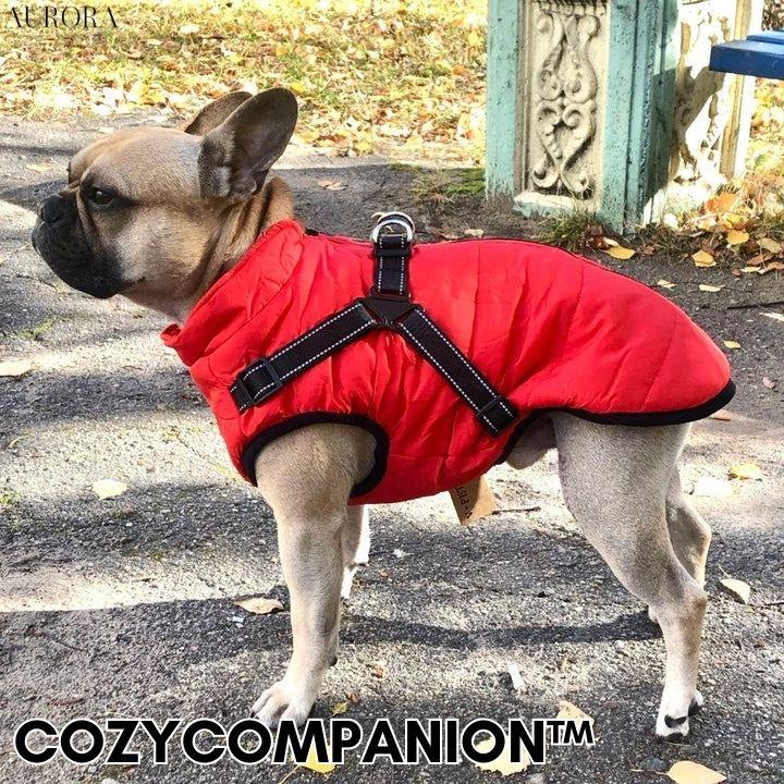 CozyCompanion™ | Hund vinterjacka | 50% TILLFÄLLIG RABATT - Aurora Stockholm